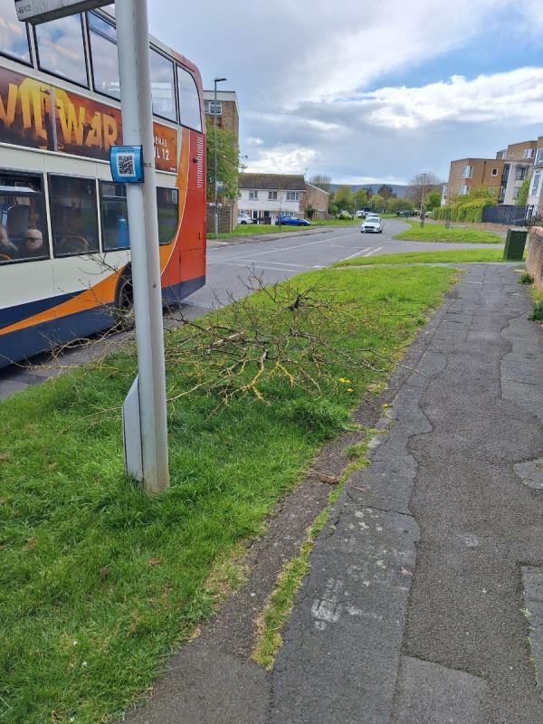 Mayo ct block 9-16 /Pembury rd bus stop 

Tree branches to be removed 

Please can these be cleared 

Thanks john

-Waterford Court, 20 Biddenden Close, Eastbourne, BN23 7HY