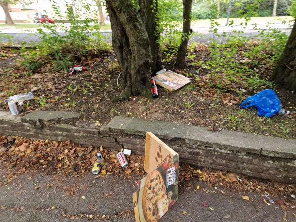 Glass bottles, pizza boxes, rubbish in the green under the trees near the road side-16 Tewkesbury Terrace, Southgate, N11 2LT