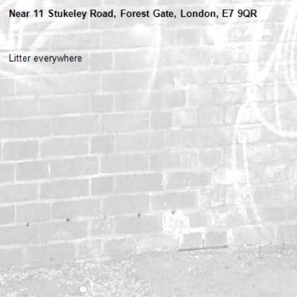 Litter everywhere -11 Stukeley Road, Forest Gate, London, E7 9QR