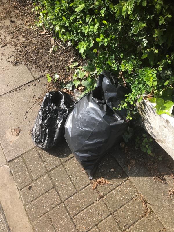 Outside Princess Court flats next to shell garage. Please clear 2 bags of domestic waste-Shell, 96 Bromley Hill, Bromley, BR1 4JU
