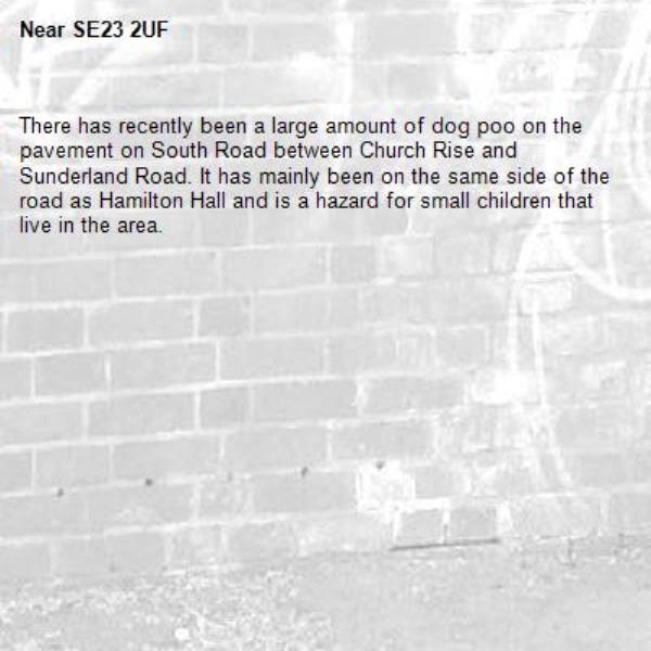 There has recently been a large amount of dog poo on the pavement on South Road between Church Rise and Sunderland Road. It has mainly been on the same side of the road as Hamilton Hall and is a hazard for small children that live in the area. 
-SE23 2UF