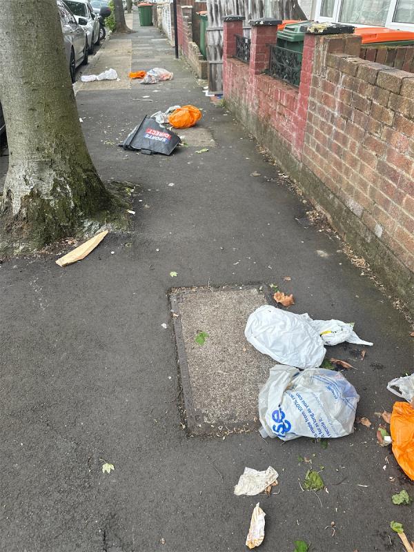 Rubbish all over path-16 Holbrook Road, Stratford, London, E15 3EA