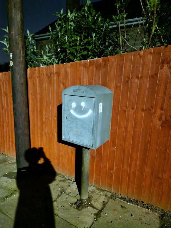 There's graffiti on the grey box. Please resolve this issue.-37 Jean Drive, Leicester, LE4 0GB