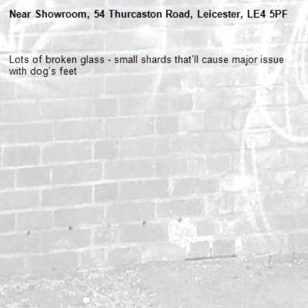 Lots of broken glass - small shards that’ll cause major issue with dog’s feet-Showroom, 54 Thurcaston Road, Leicester, LE4 5PF