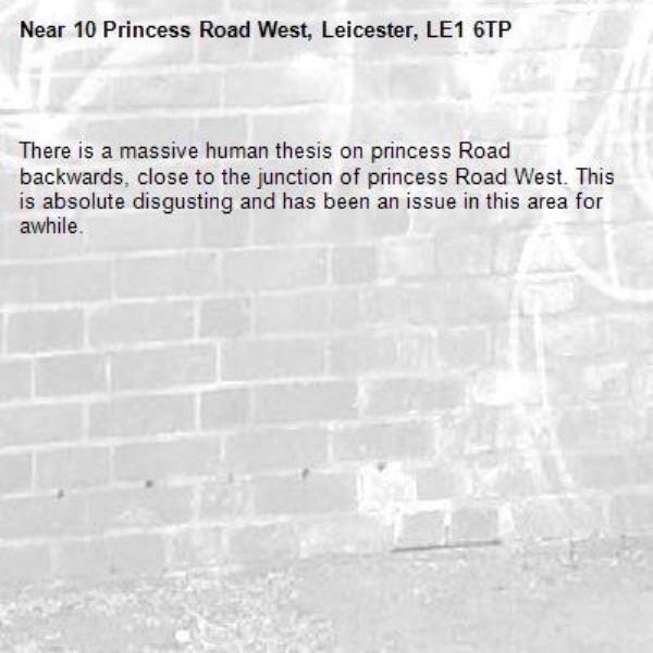 
There is a massive human thesis on princess Road backwards, close to the junction of princess Road West. This is absolute disgusting and has been an issue in this area for awhile.-10 Princess Road West, Leicester, LE1 6TP