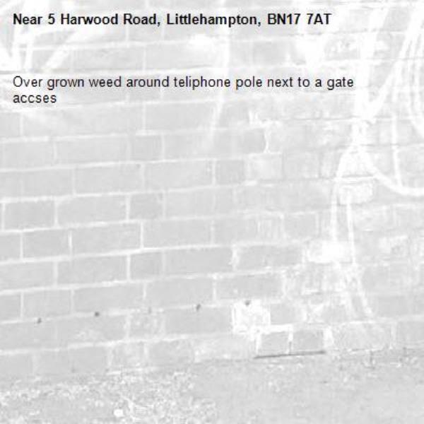 Over grown weed around teliphone pole next to a gate accses -5 Harwood Road, Littlehampton, BN17 7AT