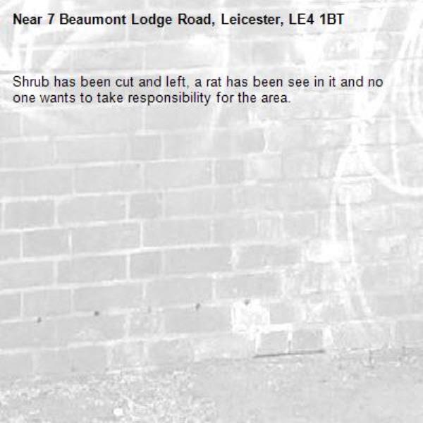 Shrub has been cut and left, a rat has been see in it and no one wants to take responsibility for the area.-7 Beaumont Lodge Road, Leicester, LE4 1BT