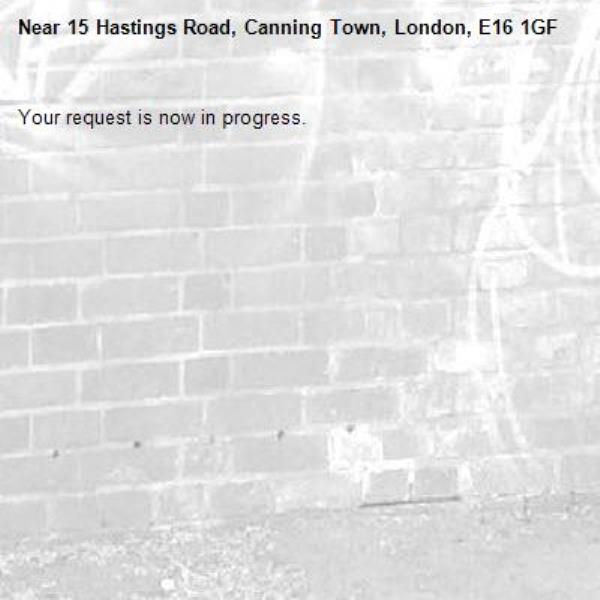 Your request is now in progress.-15 Hastings Road, Canning Town, London, E16 1GF