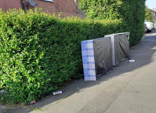 Two halves of a divan bed base have been dumped on the pavement outside 24 Castillon Road against the privet hedge. The residents of 24 Castillon Road were seen dumping these items-24 Castillon Road