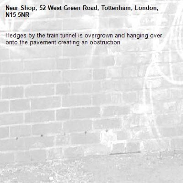 Hedges by the train tunnel is overgrown and hanging over onto the pavement creating an obstruction-Shop, 52 West Green Road, Tottenham, London, N15 5NR