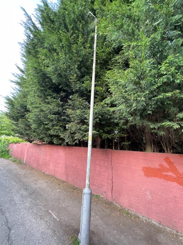 Trees are over grown around street light which is creating a health & safety issue as light is not illuminating the alley way-185 Knighton Lane East, Leicester, LE2 6FU
