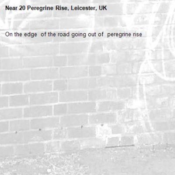 On the edge  of the road going out of  peregrine rise-20 Peregrine Rise, Leicester, UK