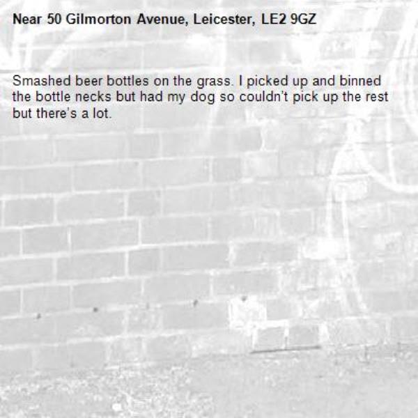 Smashed beer bottles on the grass. I picked up and binned the bottle necks but had my dog so couldn’t pick up the rest but there’s a lot.-50 Gilmorton Avenue, Leicester, LE2 9GZ