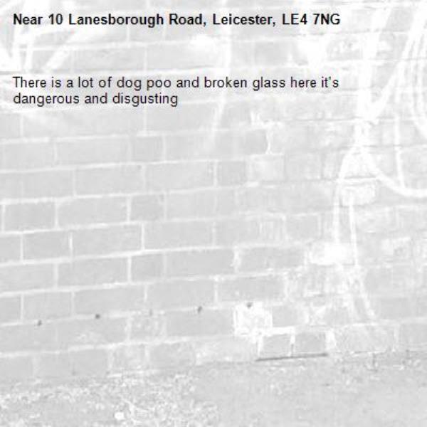 There is a lot of dog poo and broken glass here it's dangerous and disgusting -10 Lanesborough Road, Leicester, LE4 7NG