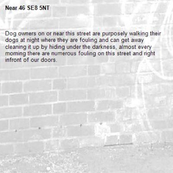 Dog owners on or near this street are purposely walking their dogs at night where they are fouling and can get away cleaning it up by hiding under the darkness, almost every morning there are numerous fouling on this street and right infront of our doors.-46 SE8 5NT