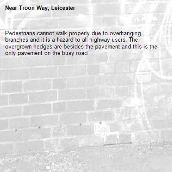 Pedestrians cannot walk properly due to overhanging branches and it is a hazard to all highway users. The overgrown hedges are besides the pavement and this is the only pavement on the busy road -Troon Way, Leicester