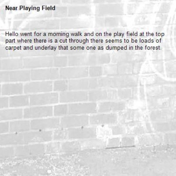 Hello went for a morning walk and on the play field at the top part where there is a cut through there seems to be loads of carpet and underlay that some one as dumped in the forest. -Playing Field