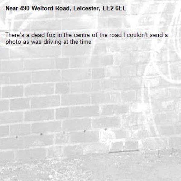 There&#39;s a dead fox in the centre of the road I couldn&#39;t send a photo as was driving at the time-490 Welford Road, Leicester, LE2 6EL