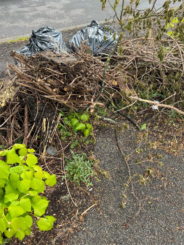 Garden waste had been dumped here -65 Burnt Ash Road, London, SE12 8RF