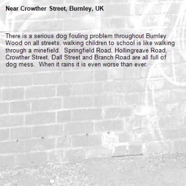 There is a serious dog fouling problem throughout Burnley Wood on all streets, walking children to school is like walking through a minefield.  Springfield Road, Hollingreave Road, Crowther Street, Dall Street and Branch Road are all full of dog mess.  When it rains it is even worse than ever.-Crowther Street, Burnley, UK