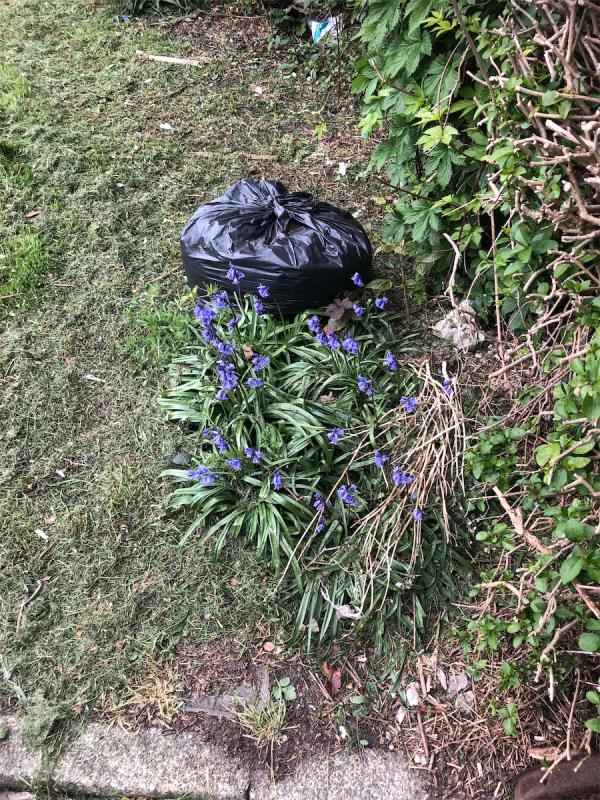 Junction of Shroffold Road. Please clear a black bag from grass area-179 Capstone Road, Bromley, BR1 5NQ