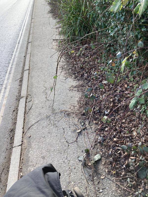 The footpath is difficult to walk down, particularly with a baby in a buggy, as there are many overgrown bramble whips, over it-24 Brooklands Way, East Grinstead, RH19 1DE