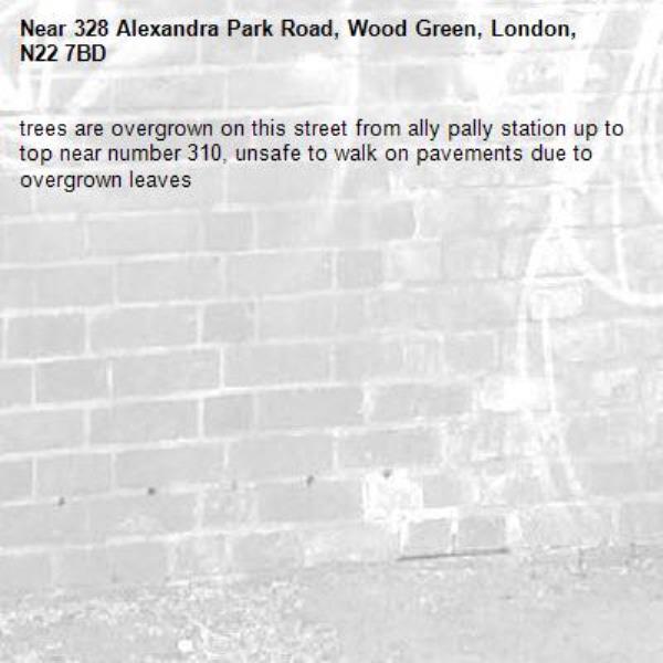 trees are overgrown on this street from ally pally station up to top near number 310, unsafe to walk on pavements due to overgrown leaves -328 Alexandra Park Road, Wood Green, London, N22 7BD
