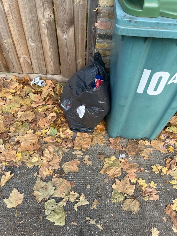 There is black bags that keep being left by the bins and it’s not my rubbish and then the bin men don’t take them! Also the pavements are full of leaves which are very slippery and haven’t been swept for weeks. -54 Oakfield Road, East Ham Central, E6 1LW, England, United Kingdom