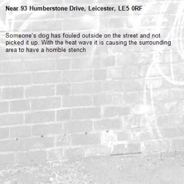 Someone's dog has fouled outside on the street and not picked it up. With the heat wave it is causing the surrounding area to have a horrible stench-93 Humberstone Drive, Leicester, LE5 0RF