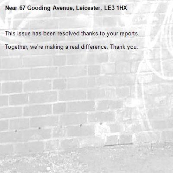 This issue has been resolved thanks to your reports.

Together, we’re making a real difference. Thank you.
-67 Gooding Avenue, Leicester, LE3 1HX