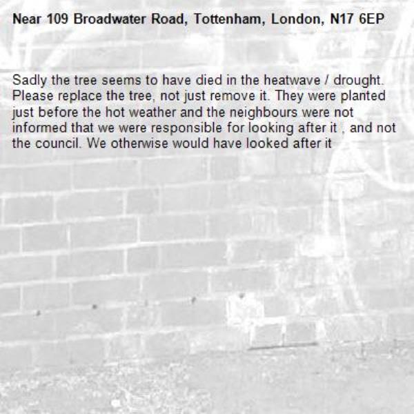 Sadly the tree seems to have died in the heatwave / drought. Please replace the tree, not just remove it. They were planted just before the hot weather and the neighbours were not informed that we were responsible for looking after it , and not the council. We otherwise would have looked after it -109 Broadwater Road, Tottenham, London, N17 6EP