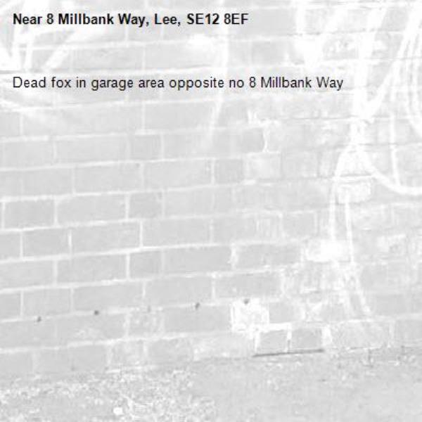 Dead fox in garage area opposite no 8 Millbank Way -8 Millbank Way, Lee, SE12 8EF