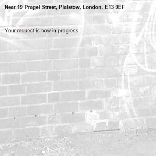 Your request is now in progress.-19 Pragel Street, Plaistow, London, E13 9EF