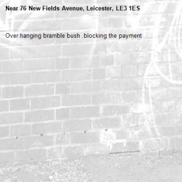 Over hanging bramble bush .blocking the payment-76 New Fields Avenue, Leicester, LE3 1ES