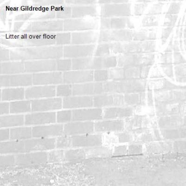 Litter all over floor-Gildredge Park