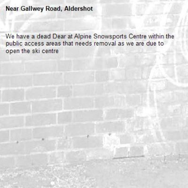 We have a dead Dear at Alpine Snowsports Centre within the public access areas that needs removal as we are due to open the ski centre -Gallwey Road, Aldershot
