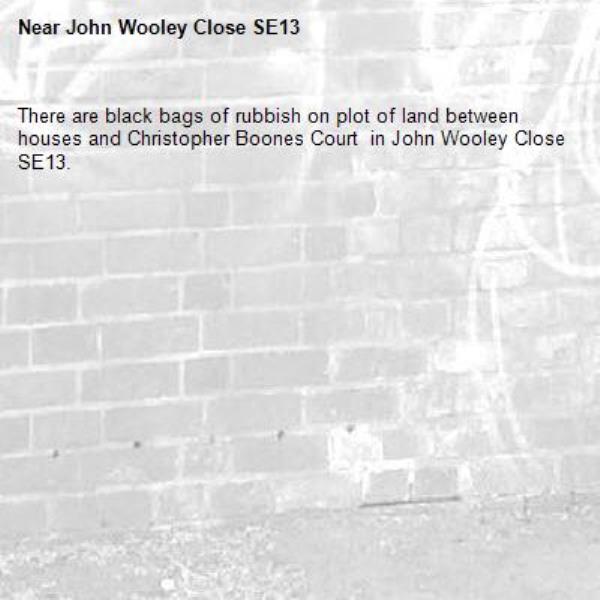 There are black bags of rubbish on plot of land between houses and Christopher Boones Court  in John Wooley Close SE13. -John Wooley Close SE13