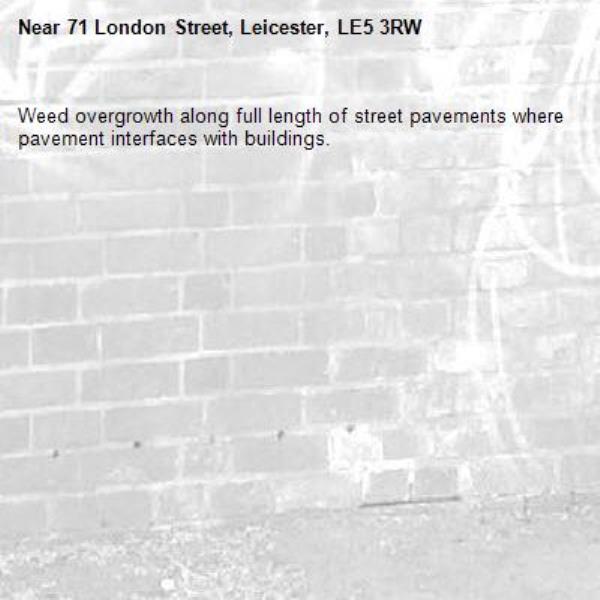 Weed overgrowth along full length of street pavements where pavement interfaces with buildings. -71 London Street, Leicester, LE5 3RW