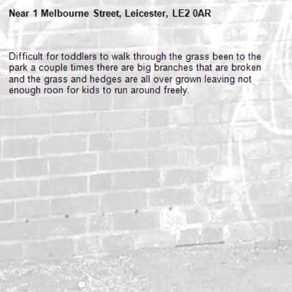 Difficult for toddlers to walk through the grass been to the park a couple times there are big branches that are broken and the grass and hedges are all over grown leaving not enough roon for kids to run around freely. -1 Melbourne Street, Leicester, LE2 0AR