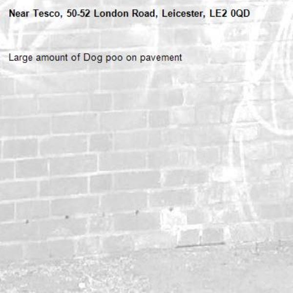 Large amount of Dog poo on pavement-Tesco, 50-52 London Road, Leicester, LE2 0QD