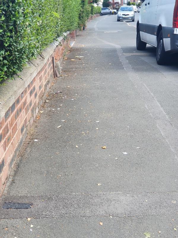 Leaves and debris on pavement and road/kerb area. Needs cleaning -77-79 Albert Road, Wolverhampton, WV6 0AF