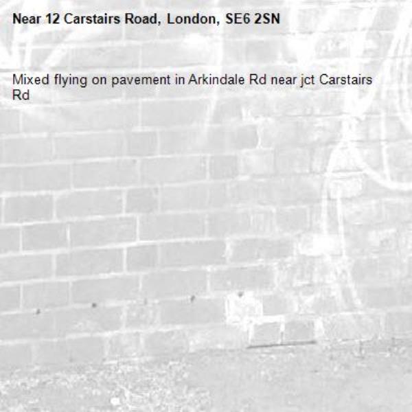 Mixed flying on pavement in Arkindale Rd near jct Carstairs Rd-12 Carstairs Road, London, SE6 2SN