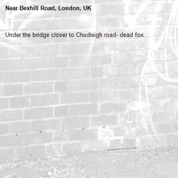 Under the bridge closer to Chudleigh road- dead fox-Bexhill Road, London, UK
