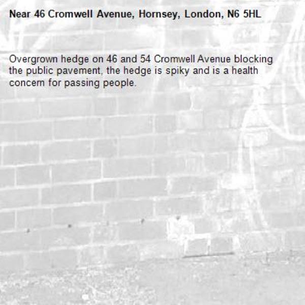 Overgrown hedge on 46 and 54 Cromwell Avenue blocking the public pavement, the hedge is spiky and is a health concern for passing people. -46 Cromwell Avenue, Hornsey, London, N6 5HL