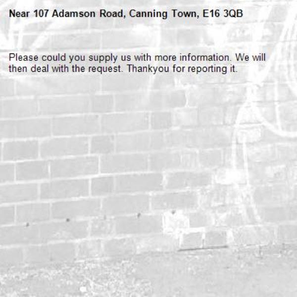 Please could you supply us with more information. We will then deal with the request. Thankyou for reporting it.-107 Adamson Road, Canning Town, E16 3QB