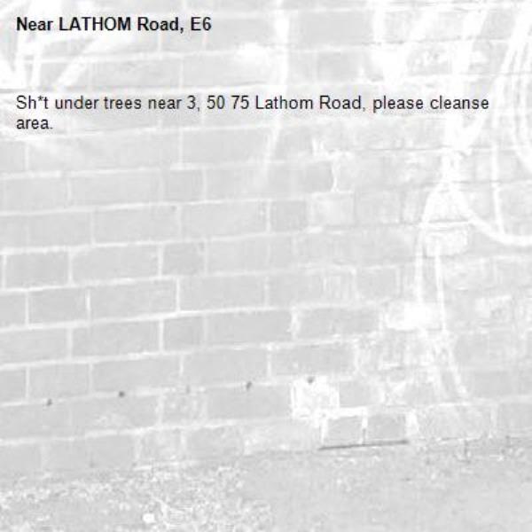 Sh*t under trees near 3, 50 75 Lathom Road, please cleanse area.-LATHOM Road, E6
