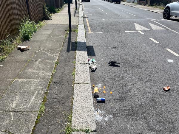 Litter in the road and pavement to please be removed -Bowness Cottage, Bowness Road, London, SE6 2DG