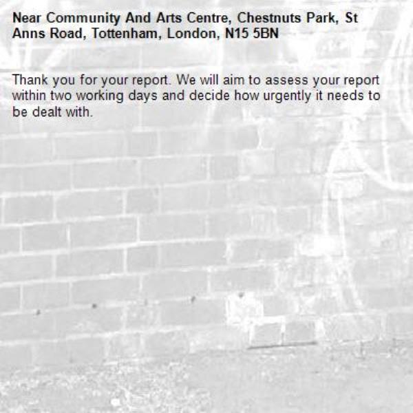 Thank you for your report. We will aim to assess your report within two working days and decide how urgently it needs to be dealt with.-Community And Arts Centre, Chestnuts Park, St Anns Road, Tottenham, London, N15 5BN