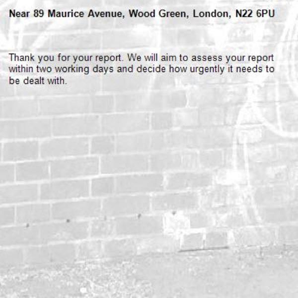 Thank you for your report. We will aim to assess your report within two working days and decide how urgently it needs to be dealt with.-89 Maurice Avenue, Wood Green, London, N22 6PU
