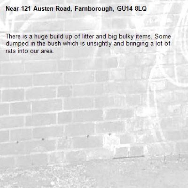 There is a huge build up of litter and big bulky items. Some dumped in the bush which is unsightly and bringing a lot of rats into our area.-121 Austen Road, Farnborough, GU14 8LQ